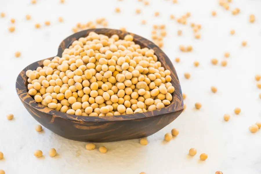 soya fistigi tarifi 1